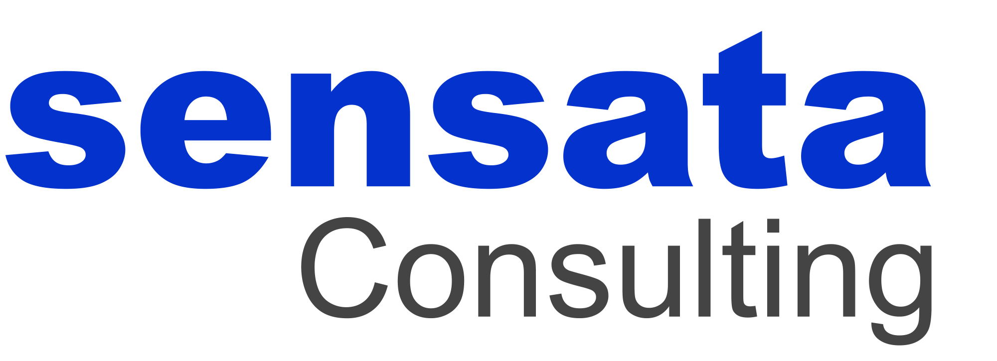 Sensata Consulting