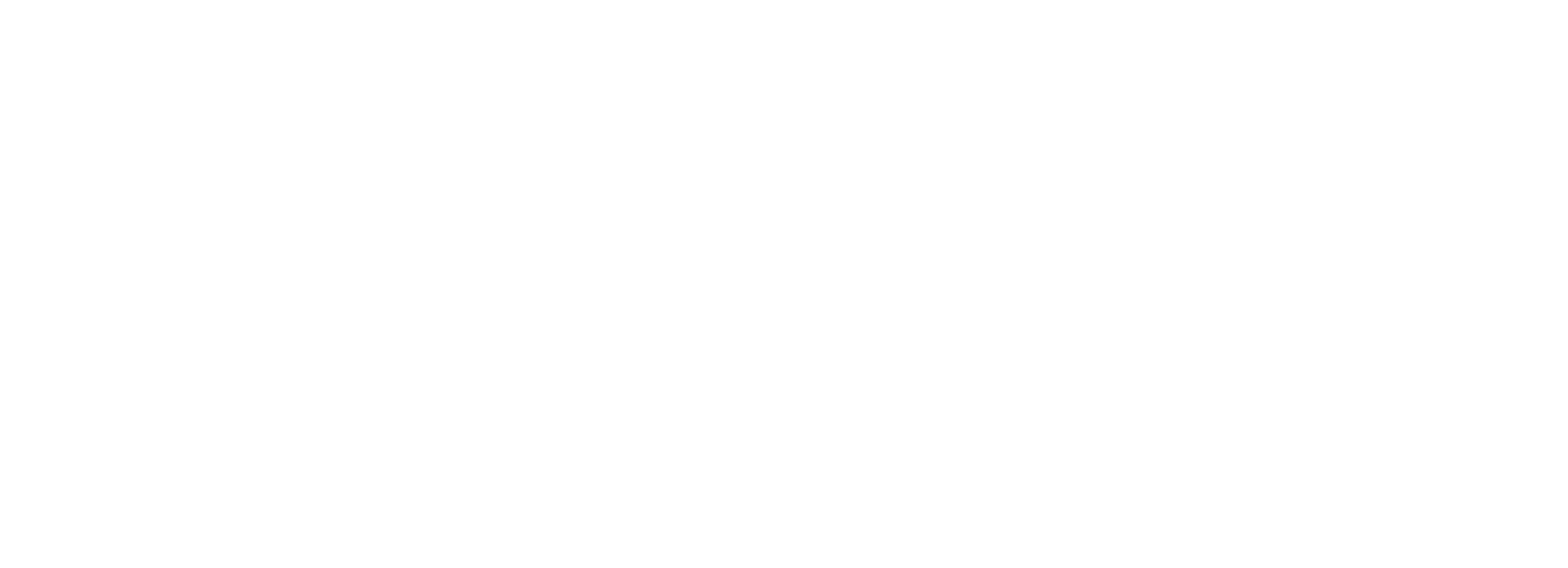 Logo_Sensata_Consulting_White